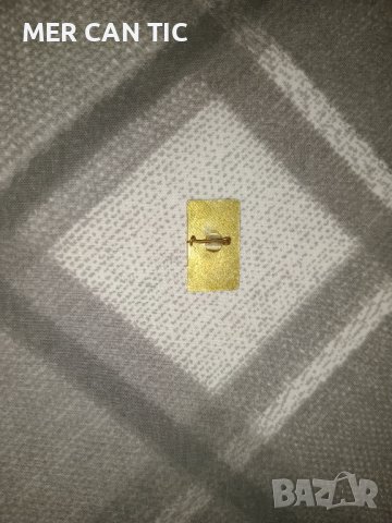 значка Ганка Стефанова Роза , снимка 2 - Други ценни предмети - 42929791