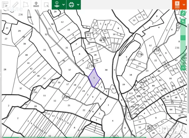 Широколистни гори 15.5 дка с. Винище, община Монтана, снимка 8 - Земеделска земя - 48391879