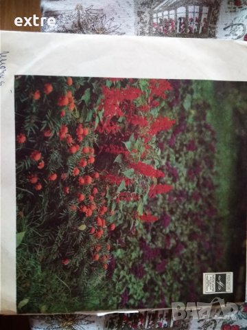 Всем, Кто Любит Песню (№ 16) 33Д—31872