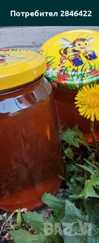 Пчелен мед, снимка 4 - Домашни продукти - 54122703