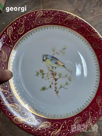декоративна цветна порцеланова чиния с птица и  позлата , снимка 6 - Декорация за дома - 49903424