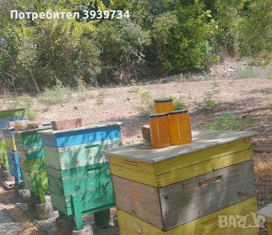 Продавам натурален пчелен мед 