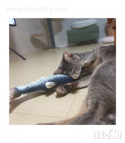ПЛЮШЕНА ИГРАЧКА ЗА КОТКИ, РИБКА С ДЪЛЖИНА 20СМ. - код 3117, снимка 8 - За котки - 33892894
