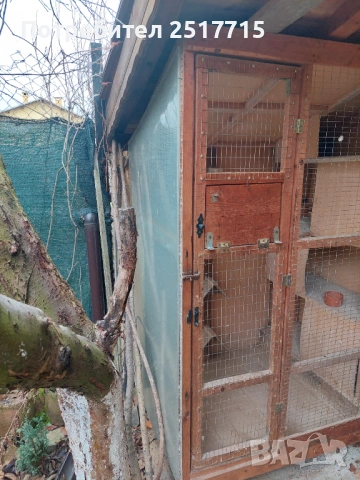 Гълъбарник, снимка 2 - други­ - 53219380