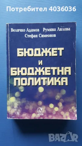 Бюджет и бюджетна политика