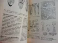 Илюстрован речник по биология, Иван Москов, Снежана Томова, снимка 5