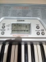 Синтезатор CASIO CTK -491, снимка 9