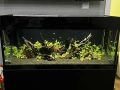 Оборудван Аквариум, снимка 1