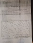 Продавам 25 дка. земеделска земя в землището на гр.Сапарева баня.От собственик!, снимка 4