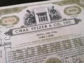 Сертификат за притежание на 100 акции (САЩ) | Chas. Pfizer & Co. Inc. | 1954г., снимка 2