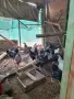 Сребърен виандот, снимка 8
