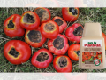 Течен органичен тор Bio Plantella калций за домати 250 мл.