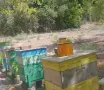 Продавам натурален пчелен мед , снимка 1