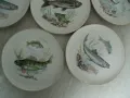 № 7964 стари японски порцеланови чинии - 7 броя   - SAITO JAPAN  - илюстрации - риби  , снимка 3