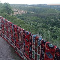 Чипровски килим, модел "Пиротски", снимка 5 - Антикварни и старинни предмети - 42140663