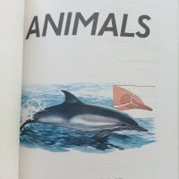 Детска енциклопедия "Animals -my first reference library" - 1994г., снимка 3 - Детски книжки - 42524605