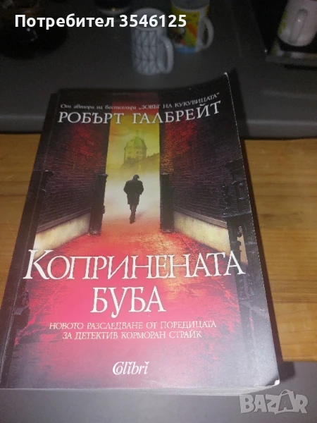 Копринената буба, снимка 1