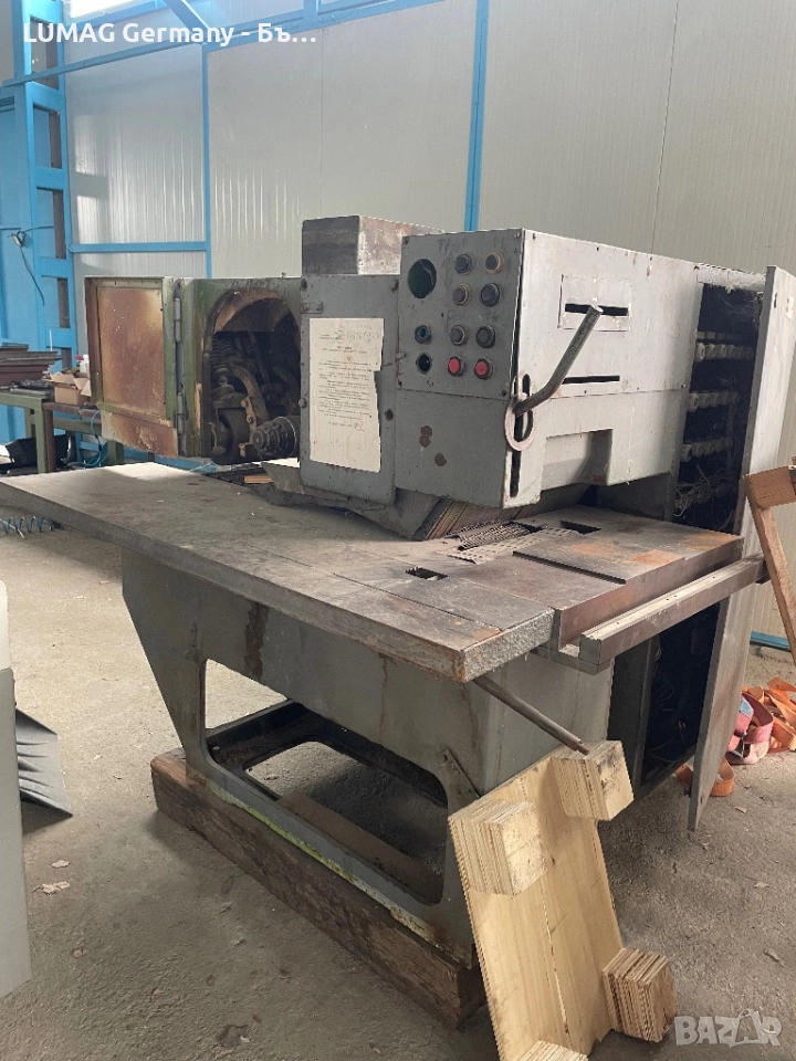 Многолистов циркуляр, снимка 1