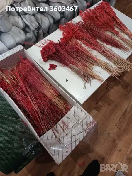 Изсушени естествени класове за декорация, снимка 1