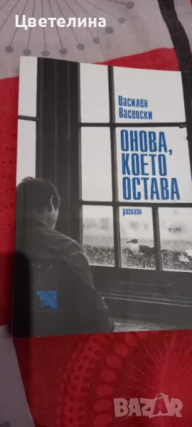 Василен Васевски  разкази, снимка 1