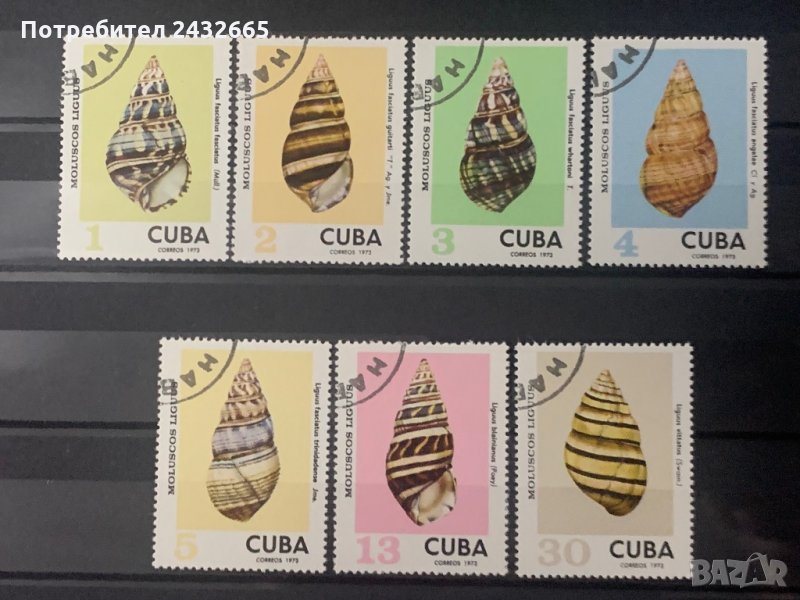 845. Куба 1973 = “ Фауна. Раковини ” , снимка 1