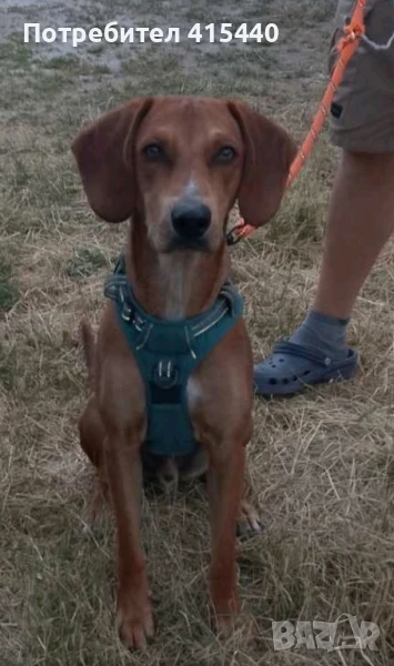 Подарявам, снимка 1