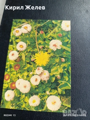 Старо календарче серия ЦВЕТЯ много красиво за КОЛЕКЦИЯ ДЕКОРАЦИЯ 35357, снимка 3 - Колекции - 51224136