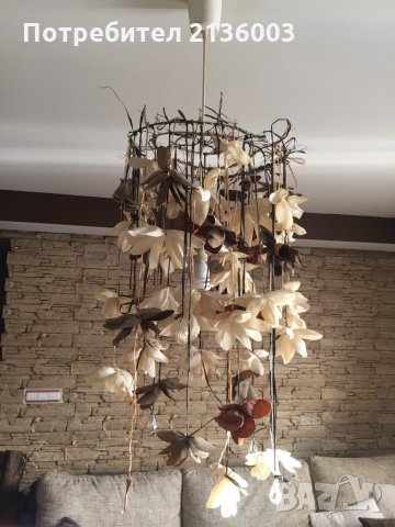 Полилей , снимка 2 - Полилеи - 30442548