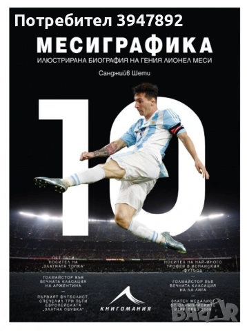 Месиграфика