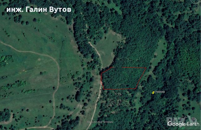 Продавам широколистна гора 7300кв.м. с. Струпец