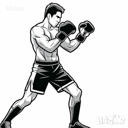 тренировки по бокс