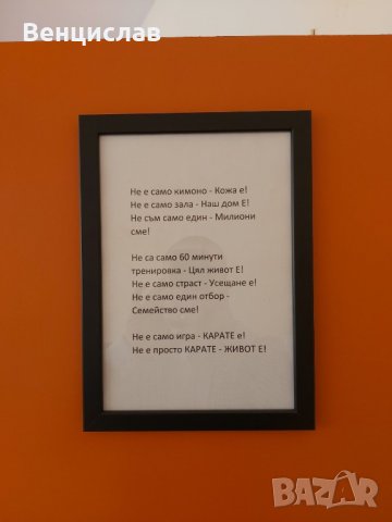 Тренировки карате, снимка 8 - Спорт, танци, изкуство - 31632923