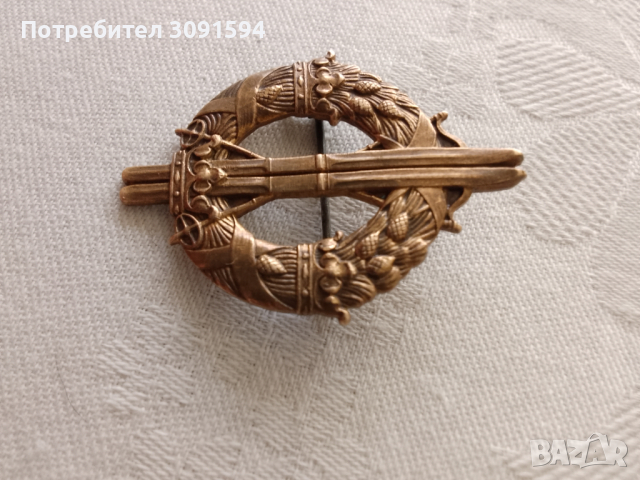 Колекционерска значка ,шведска военна ски част ,Втората световната, снимка 3 - Антикварни и старинни предмети - 44715706