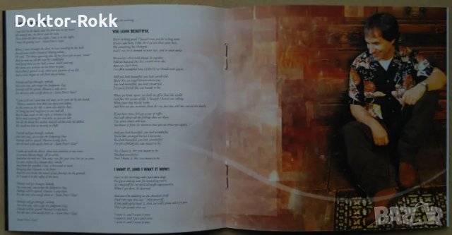 Chris de Burgh – Quiet Revolution 1999 CD, снимка 4 - CD дискове - 49658033