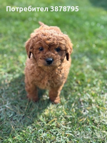 Красотички💙