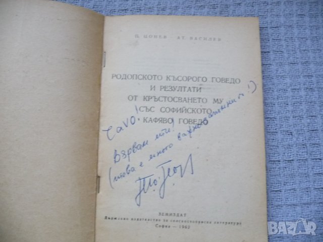 Родопското късорого говедо и резултати от кръстосването му със софийското кафяво говедо. Рядка, снимка 2 - Специализирана литература - 29803524