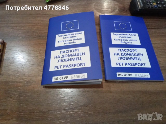  Уелско Корги , снимка 8 - Други - 53990719