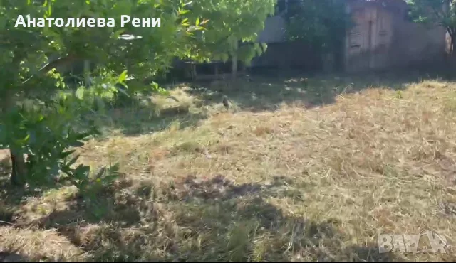 Поземлен имот Гърция, снимка 3 - Земеделска земя - 56253362