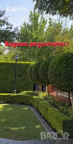 Озеленяване/ Поддръжка , снимка 6 - Други услуги - 48863308