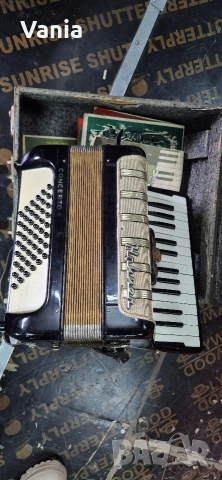 Акордеон 