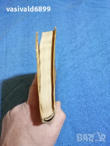 Иван Василев - Снежина , снимка 4 - Българска литература - 53297655