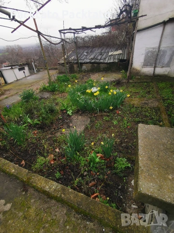 Вила/къща на 13км от Пловдив , снимка 14 - Къщи - 53895831