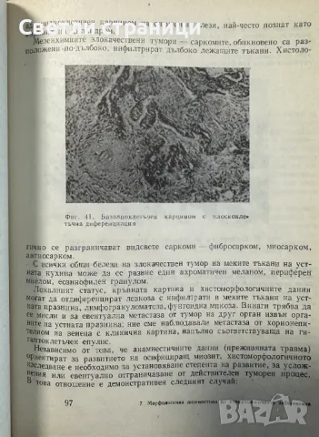 Морфологична диагностика на стоматологичните заболявания Славчо Давидов, Кирил Попов, снимка 3 - Специализирана литература - 48316297