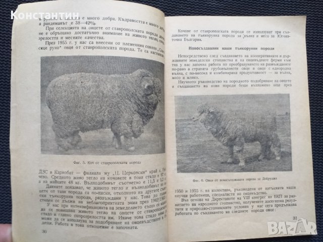 Овцевъдство, снимка 2 - Специализирана литература - 40733323