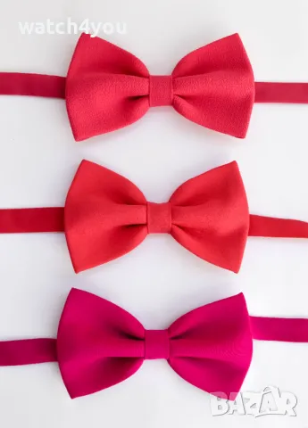 ЦИКЛАМЕНА ПАПИОНКА. БУТИКОВИ ЦИКЛАМЕНИ ПАПИОНКИ. ПАПИОНКА ЦВЯТ ЦИКЛАМА. ИЗРАБОТКА В ЦВЯТ ПО ЖЕЛАНИЕ