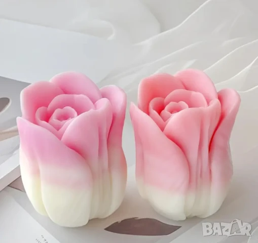 Молдове лалета 2 вида , снимка 4 - Форми - 50741662