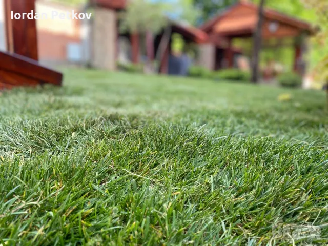 📍📍📍Тревен чим 25 лв. за кв/м. цената включва: тревен чим, товаро-разтоварна дейност, полагане и м, снимка 8 - Градински цветя и растения - 50381448