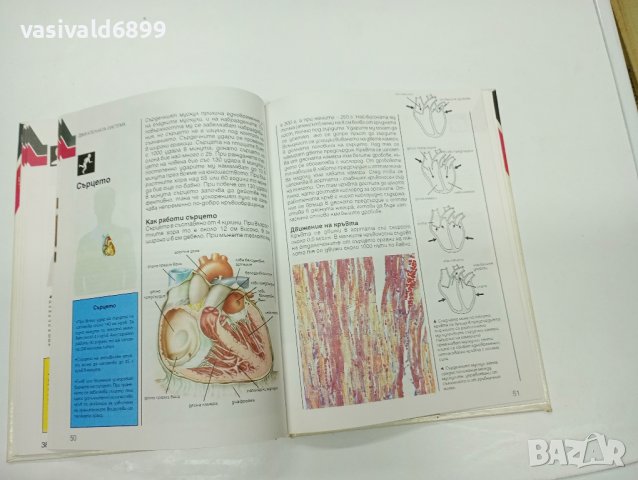 "Човешкото тяло", снимка 8 - Енциклопедии, справочници - 42350717