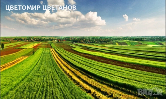 ПРОДАВАМ ЗЕМЕДЕЛСКА ЗЕМЯ 530 декара