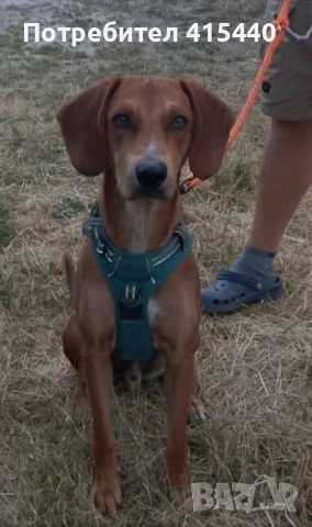 Подарявам, снимка 1